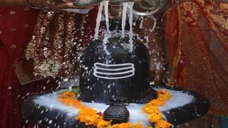 Mahashivratri 2023: আজ মহাশিবরাত্রির ব্রত রেখেছেন? ভুলেও এই ৫ ফুল নিবেদন করবেন না