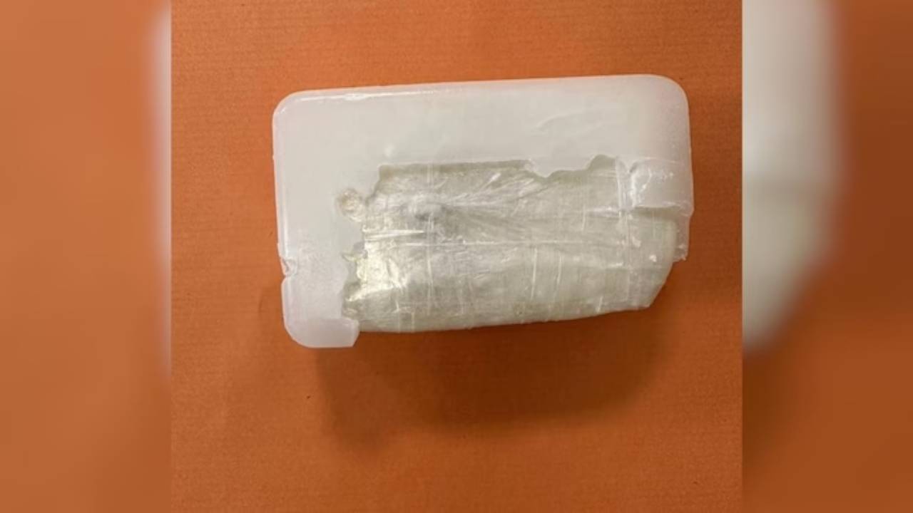 Drug Recover: বিমানবন্দরে যাত্রীর ব্যাগে প্রচুর সাবান, খুচিয়ে দেখতেই চক্ষু চড়কগাছ গোয়েন্দাদের