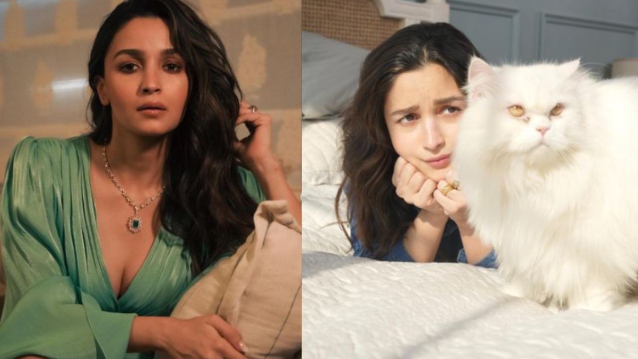 Alia Bhatt Viral Video: সদ্য মা হয়েছেন আলিয়া, তার মধ্যেই এ কী করে বসলেন? ভাইরাল ভিডিয়ো