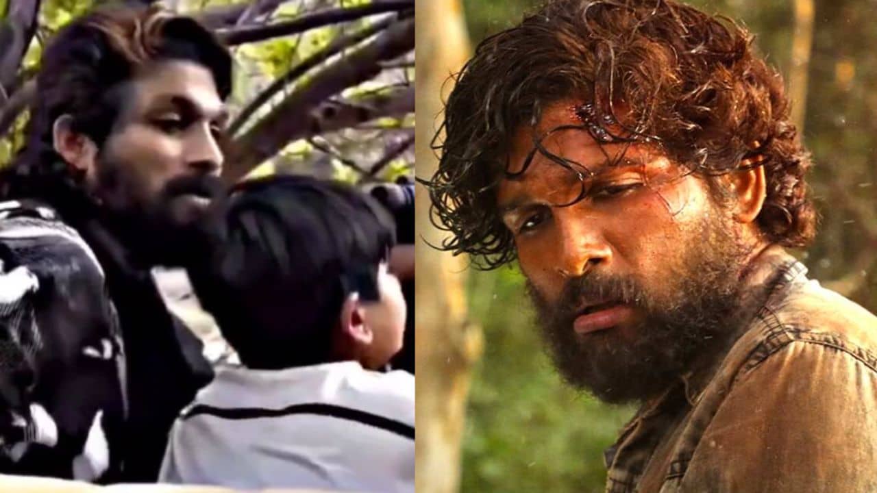 Allu Arjun Viral Video: শুটিং ফ্লোর নয়, এবার সত্যি জঙ্গলে হানা দিলেন আল্লু অর্জুন, সামনে পড়ল বাঘ, তারপর...