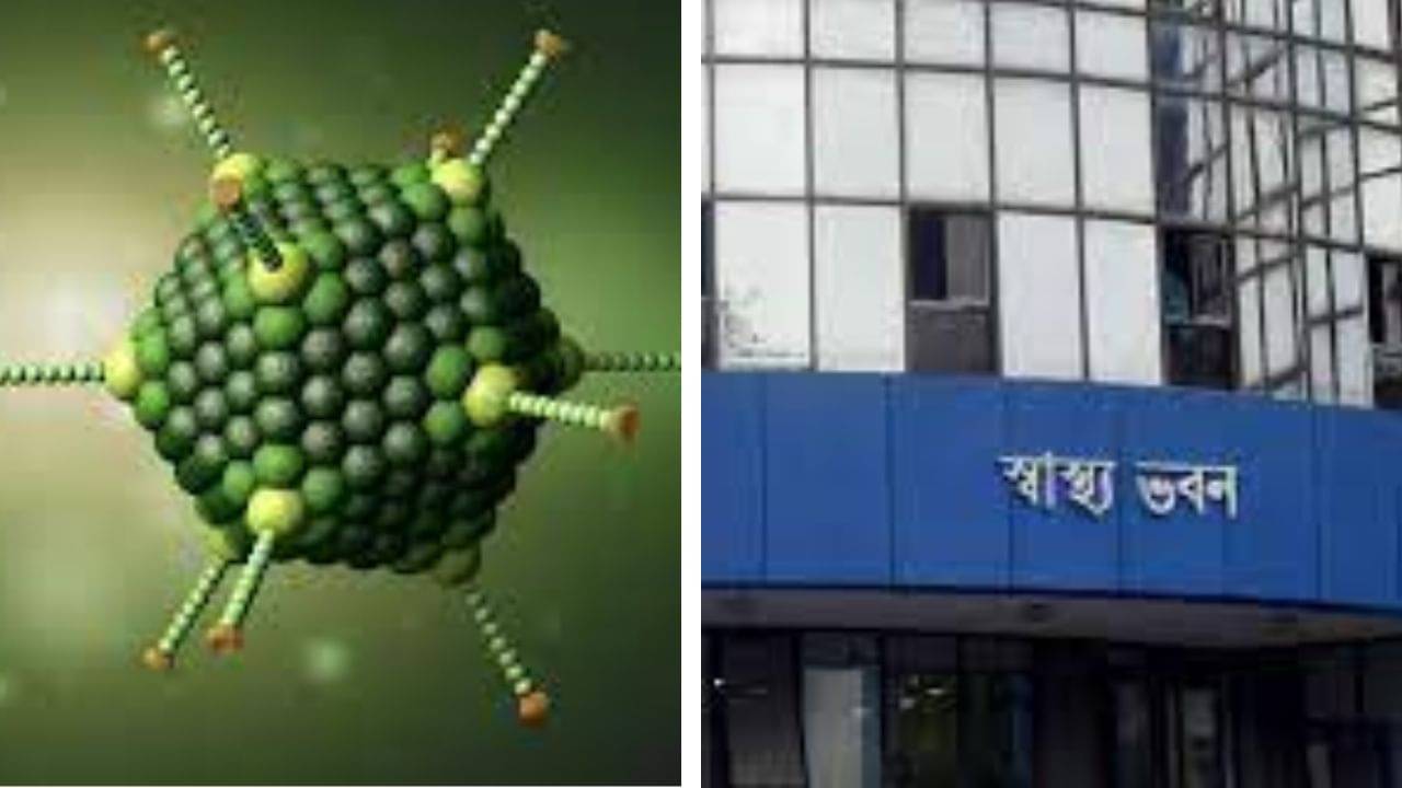 Adenovirus: অ্যাডিনো সহ শ্বাসকষ্টজনিত শিশুরোগ মোকাবিলায় টাস্ক ফোর্সের ৭ দাওয়াই