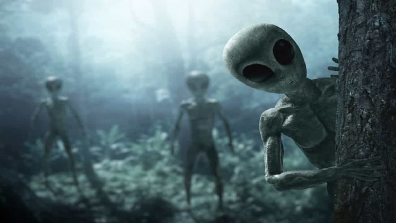 Aliens Stealing Human Sperms: পৃথিবীতে ছড়িয়ে পড়তে মাঝরাতে মানুষের স্পার্ম চুরি করছে এলিয়েনরা, দাবি UFO বিশেষজ্ঞের Aliens Stealing Human Sperms: পৃথিবীতে ছড়িয়ে পড়তে মাঝরাতে মানুষের স্পার্ম চুরি করছে এলিয়েনরা, দাবি UFO বিশেষজ্ঞের