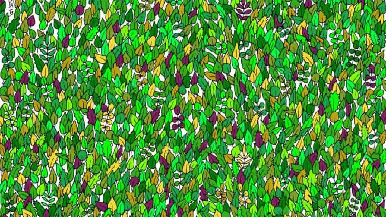 Brain Teaser: এত পাতার মাঝে লুকিয়ে রয়েছে একটা ব্যাঙ, খুঁজে বের করতে পারবেন?