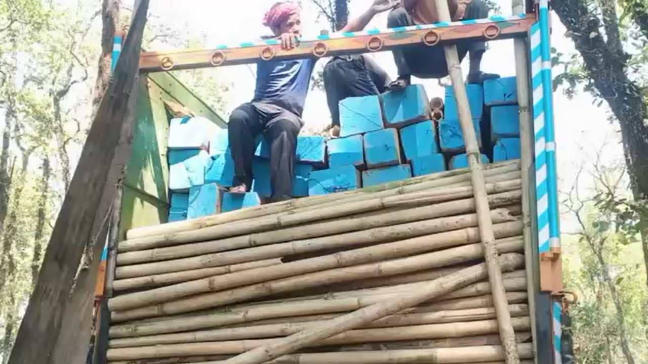 Jalpaiguri : বাঁশ বোঝাই লরির আড়ালে পাচারের ছক, বন দফতরের তৎপরতায় উদ্ধার প্রায় ৫০ লক্ষ টাকার বার্মা টিক