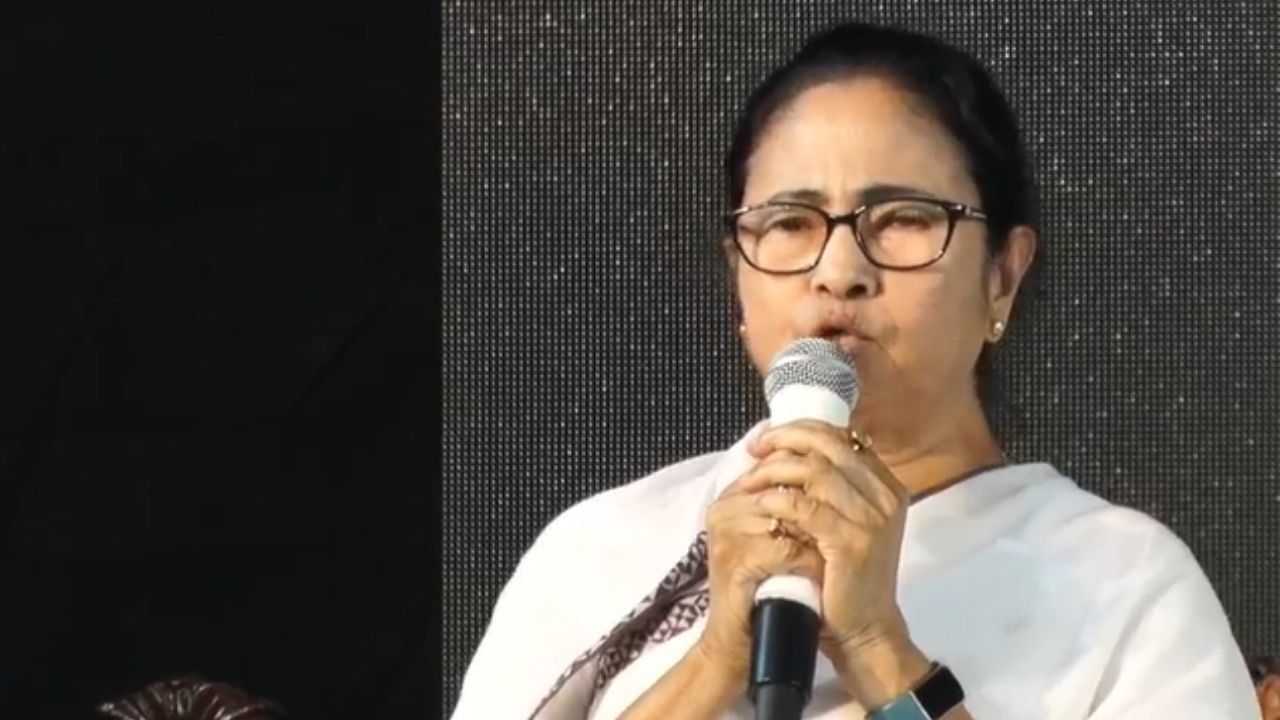 Mamata Banerjee on DA issue:  ডিএ নিয়ে সাফ কথা মমতার