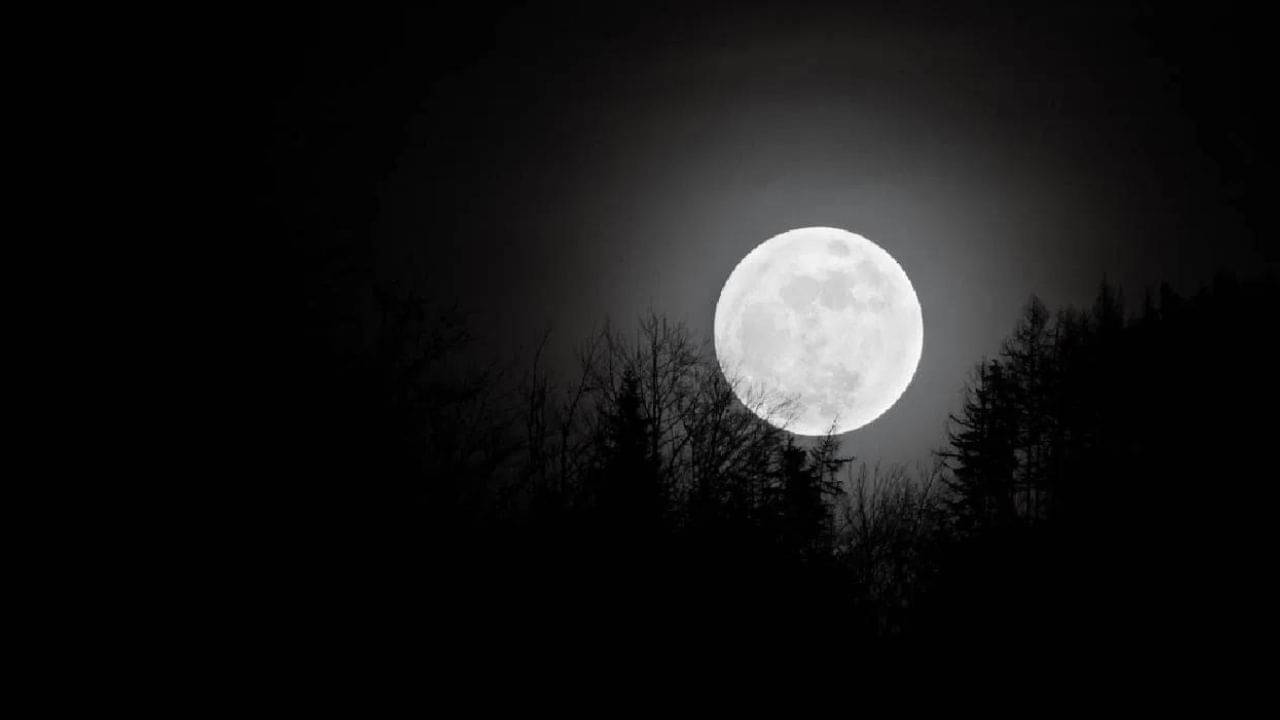 Chaitra Amavasya 2023: বাংলা মাসের শেষ অমবস্যা কবে? জন্মকুণ্ডলীতে দোষ কাটাতে এই পুজো করলেই সব মিটে যাবে চোখের পলকে