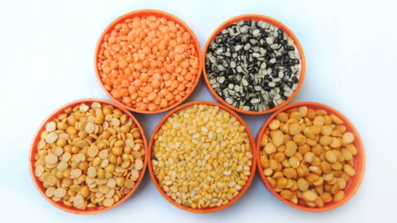 High Protein Foods নিরামিষাশীদের চিন্তার দিন শেষ, এই ৫ ডালে মাছমাংসের