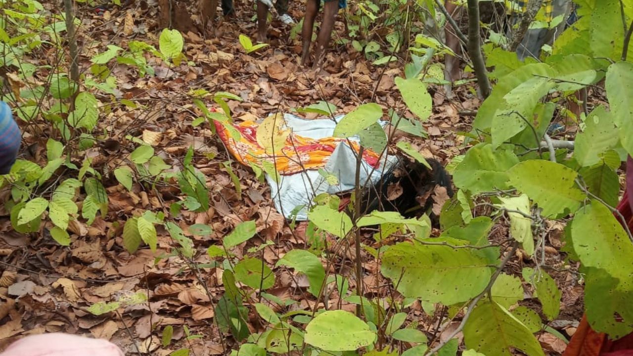 Elephant death: জঙ্গলে পাতা তুলতে গিয়ে বিপত্তি, হাতির হামলায় শেষ মহিলা