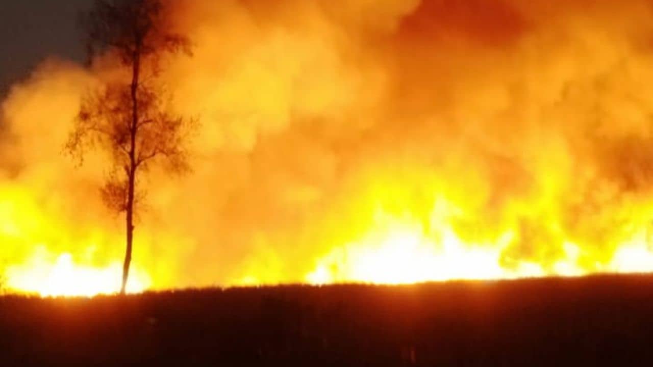 UP Fire: ঘর থেকে ভেসে আসছিল বাঁচাও বাঁচাও চিৎকার, মধ্য রাতে ছোট্ট দুর্ঘটনায় পুড়ে ছাই গোটা পরিবার