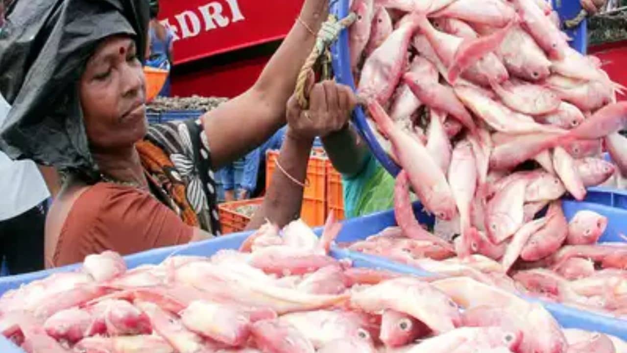 Bangladesh: মাছ-মাংস-তেলের দাম আকাশছোঁয়া, ৪ বছরে মাসে খরচ বেড়েছে ৭ হাজার টাকা