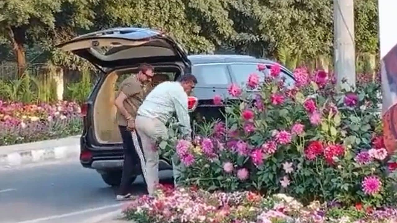 Flower Pots Theft: গাড়িতে এসে জি২০-র জন্য সাজানো ফুলের টব নিয়ে গেলেন, ভিডিয়ো ভাইরাল হতেই পুলিশের জালে ব্যক্তি