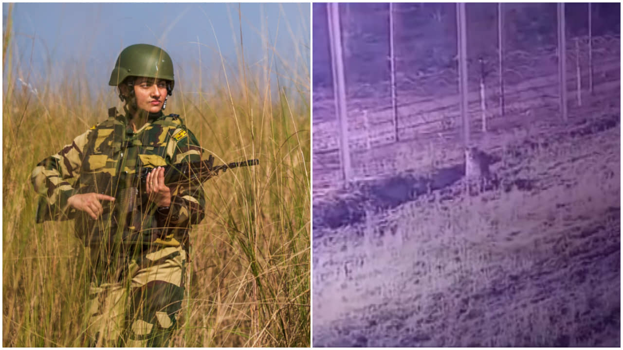 Pakistan leopard: পাকিস্তান থেকে অনুপ্রবেশ, আটকাল না বিএসএফ; ভিডিয়ো প্রকাশ করে জারি সতর্কতা