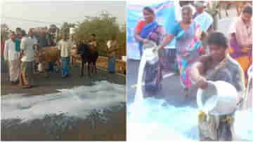 Madurai: লিটার লিটার দুধে ভেসে গেল রাস্তা, চাষিদের পদক্ষেপে অস্বস্তিতে তামিলনাড়ু সরকার