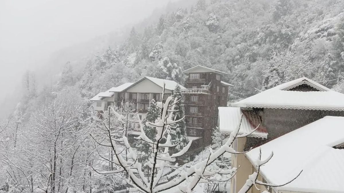 Snowfall in Sikkim: রডোড্রেনড্রনের সময় সিকিম ঢেকেছে বরফে, তুষারপাতের কেমন প্রভাব পড়েছে পর্যটন শিল্পে?