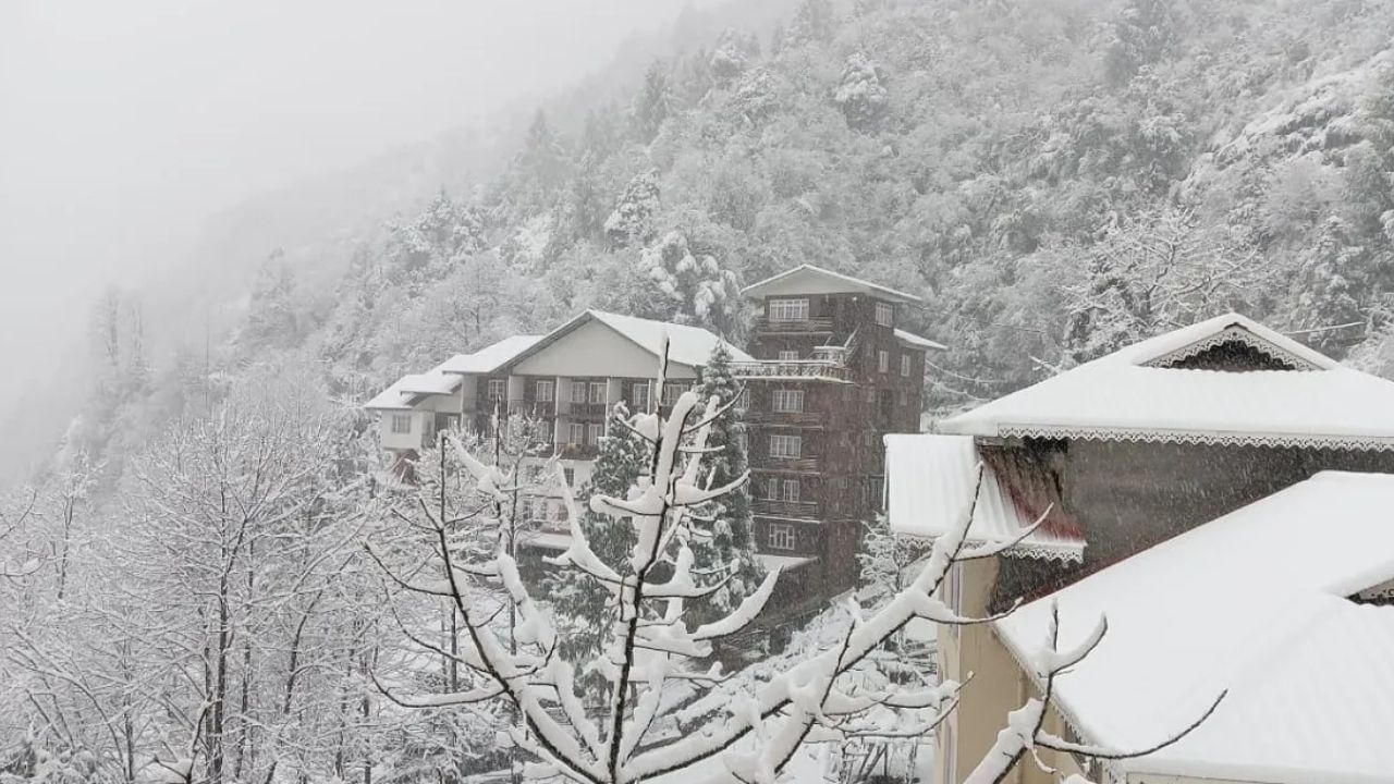 Snowfall in Sikkim: রডোড্রেনড্রনের সময় সিকিম ঢেকেছে বরফে, তুষারপাতের কেমন প্রভাব পড়েছে পর্যটন শিল্পে?