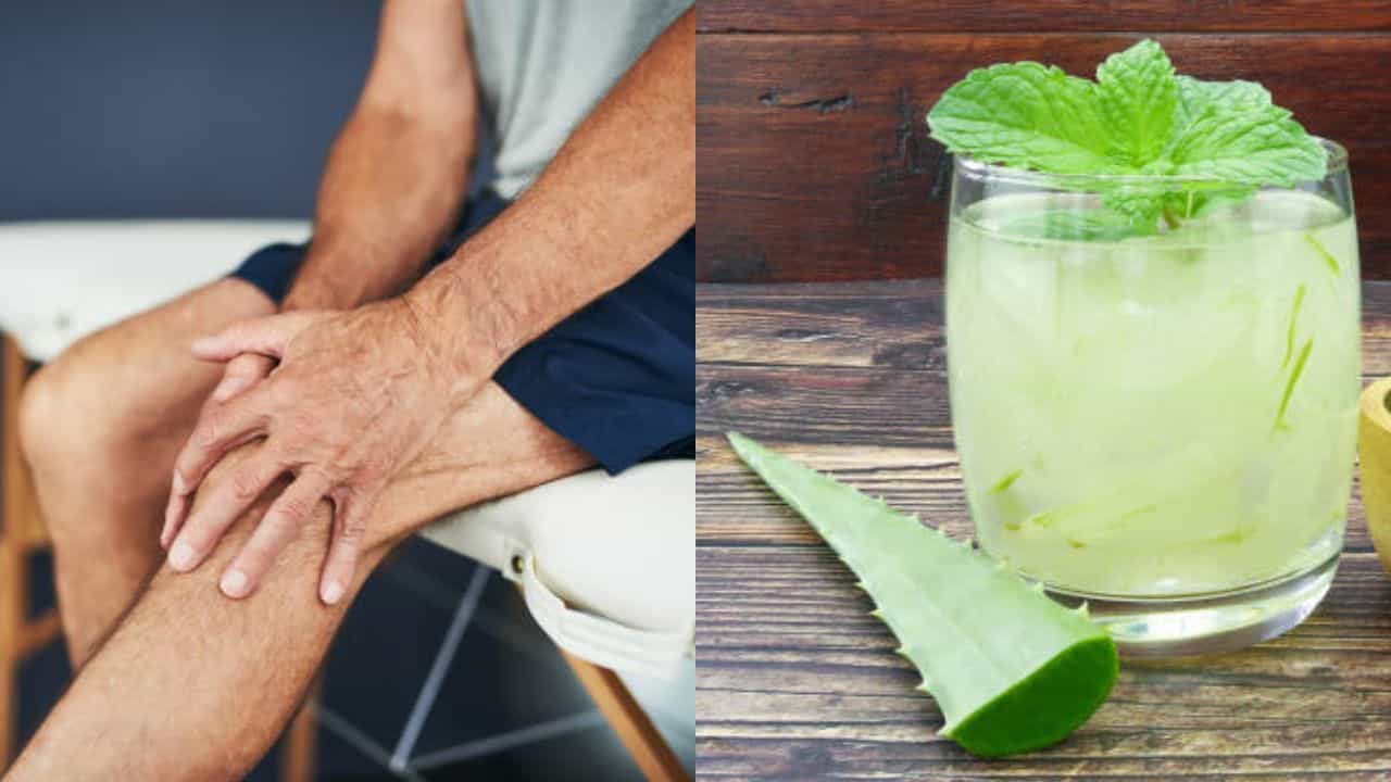 Aloe Vera Benefits: বয়স বৃদ্ধি আগেই গাঁটের যন্ত্রণায় ভুগছেন? অ্যালোভেরার জুস খেলে কমবে বাতের ব্যথা Aloe Vera Benefits: বয়স বৃদ্ধি আগেই গাঁটের যন্ত্রণায় ভুগছেন? অ্যালোভেরার জুস খেলে কমবে বাতের ব্যথা