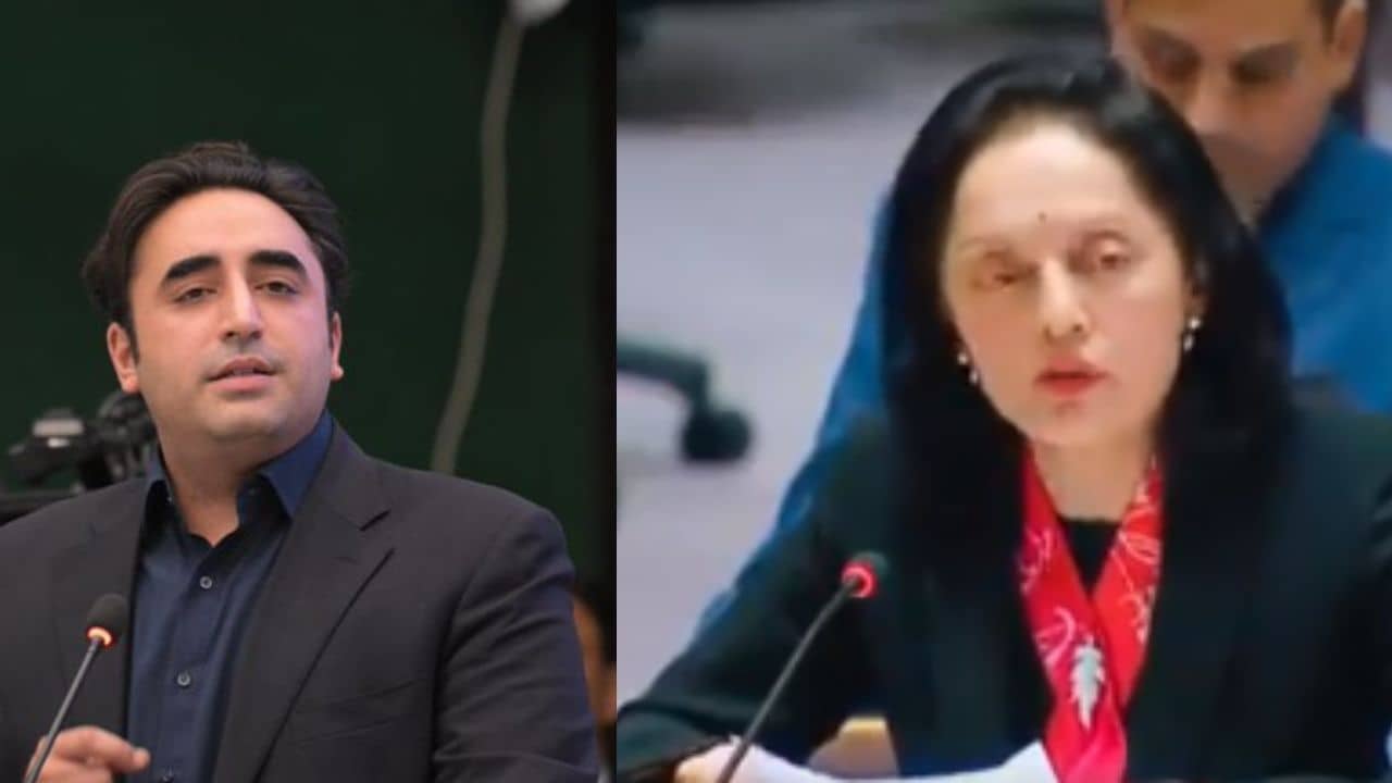 India-Pakistan: জবাব দেওয়ার যোগ্যই নয়, কাশ্মীর নিয়ে ফের মুখ খুলতেই রাষ্ট্রপুঞ্জের মঞ্চে পাকিস্তানকে ধুয়ে দিল ভারত