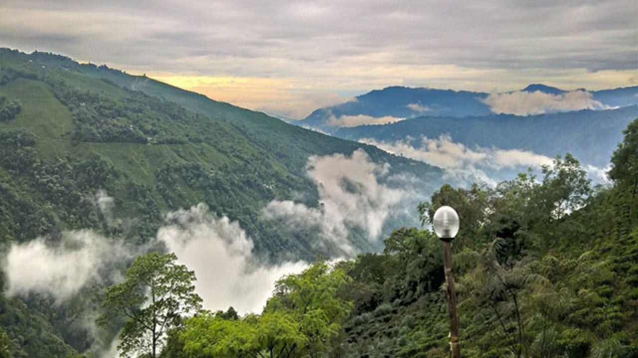 West Sikkim: হাতে মাত্র ৪ দিনের ছুটি, বাজেটও ৪ হাজার? রডোডেনড্রন দেখতে এই মার্চে ঘুরে আসুন কালিজ ভ্যালি