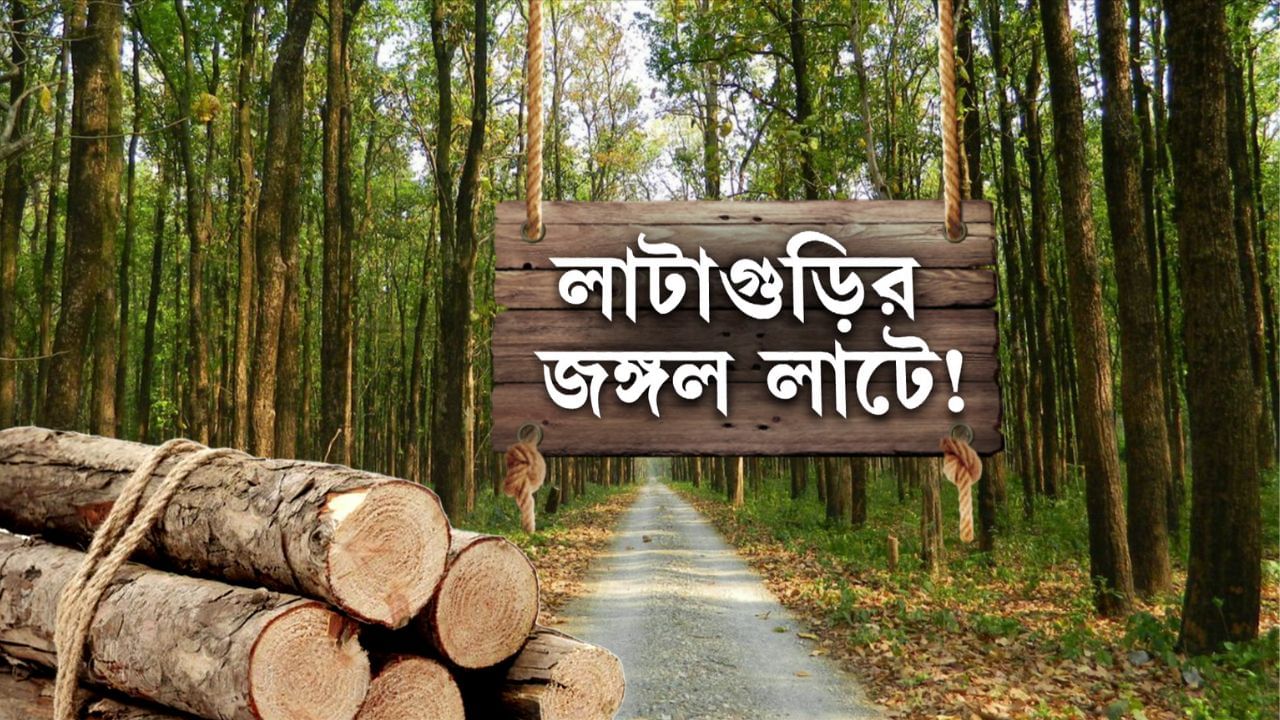 Lataguri Deforestation: লাটাগুড়িতে জঙ্গল কেটে আবাসন? কীভাবে চলছে? উত্তরের আঁচ ছড়াল বিধানসভায়