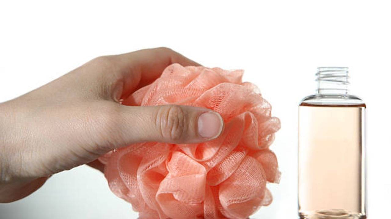 Loofah: রোজ স্নানের সময় লোফা ব্যবহার করলে ত্বক খসখসে হয় এমনকী ছড়েও যায়, ব্যবহারের আগে যা কিছু জেনে রাখা জরুরি