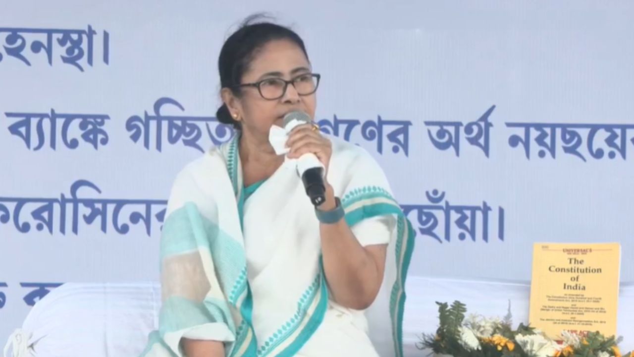 Mamata Banerjee: সরকার নয়, দলের তরফ থেকেই ধরনায় বসেছি: মমতা