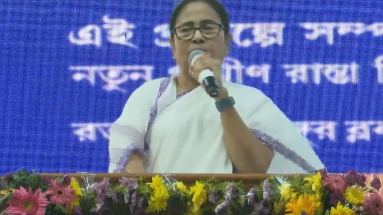 Mamata Banerjee: ‘একদিন রাতে শুয়ে আছি… একটা লরি চাপা দিয়ে দিচ্ছিল’, কার ষড়যন্ত্র বললেন মমতা
