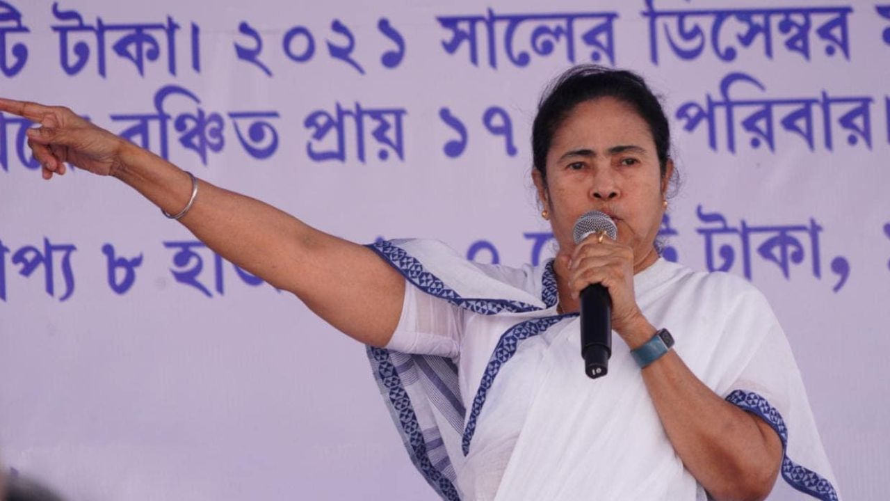 Mamata Banerjee: 'ট্রেন ভাড়া করে দিল্লি যাব', অপেক্ষায় কাজ না হওয়ায় এবার বড় হুঁশিয়ারি মমতার