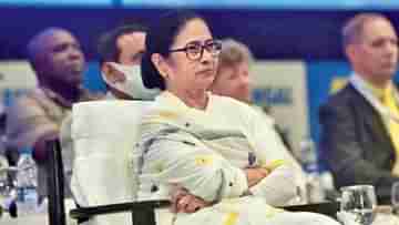 Mamata Banerjee: দিল্লি, মুম্বইতেও শিল্প সংক্রান্ত বৈঠক করবেন মমতা, চান না নেগেটিভ প্রচার