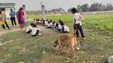 Mid-Day Meal : কুকুরও আছে, ছাগলও আছে, ছাত্রও আছে- খোলা আকাশে মিড মিলের ‘ভূরি ভোজ’