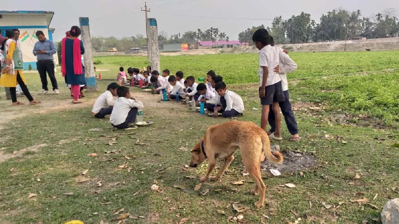 Mid-Day Meal : কুকুরও আছে, ছাগলও আছে, ছাত্রও আছে- খোলা আকাশে মিড মিলের ‘ভূরি ভোজ’