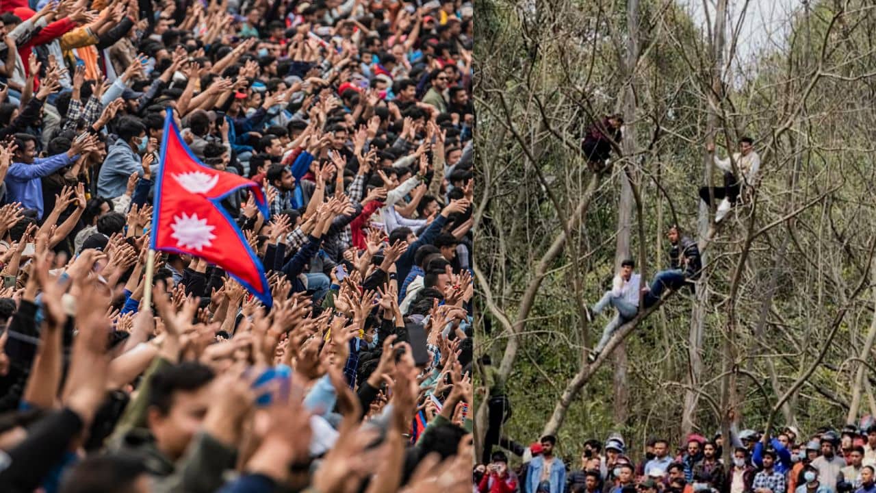 NPL vs UAE: নেপালে ক্রিকেট ম্যাচে জনবিস্ফোরণ, গাছে চড়লেন সমর্থকরা