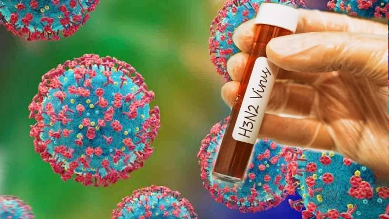 H3N2 Influenza Deaths: হংকং ফ্লু-তে প্রথম মৃত্যু ভারতে, ক্রমেই ভয়াল রূপ H3N2 ভাইরাসের