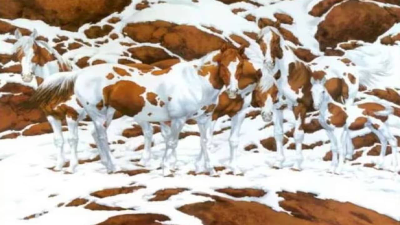 Optical Illusion: এই ছবিতে কতগুলো ঘোড়া আছে, চট করে দেখে বলতে পারবেন?