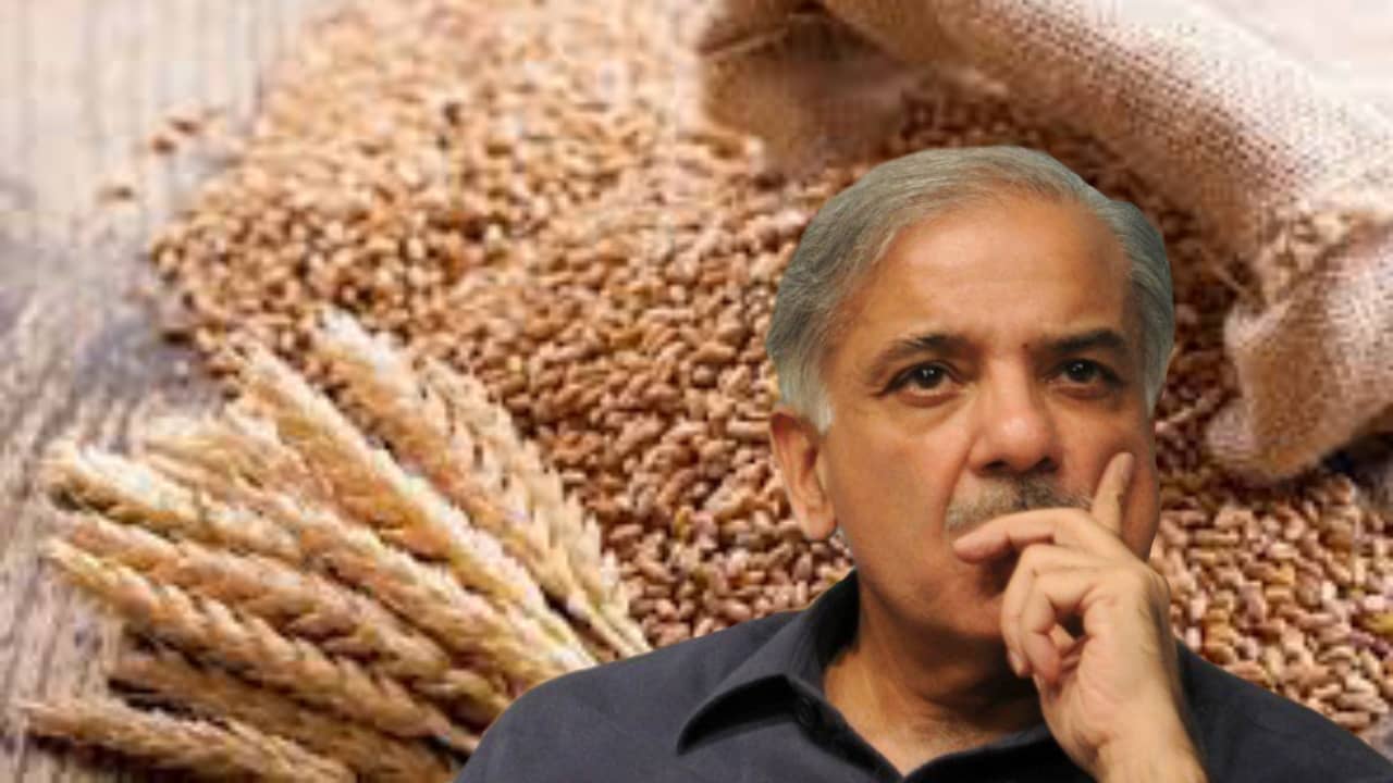 Pakistann: পাকিস্তানে সরকারি গুদাম থেকে চুরি ৪০,০০০ টন গম! চোর বাছতে গাঁ উজার