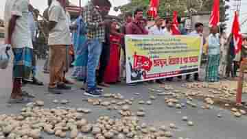 Potato price : ক্ষোভ ফুঁসছেন কৃষকরা, দাম বাড়ানোর দাবিতে রাজ্যের নানা প্রান্তে রাস্তায় আলু ফেলে পথ অবরোধ