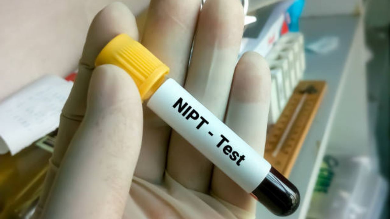 Ota va ogil jinsiy aloqada