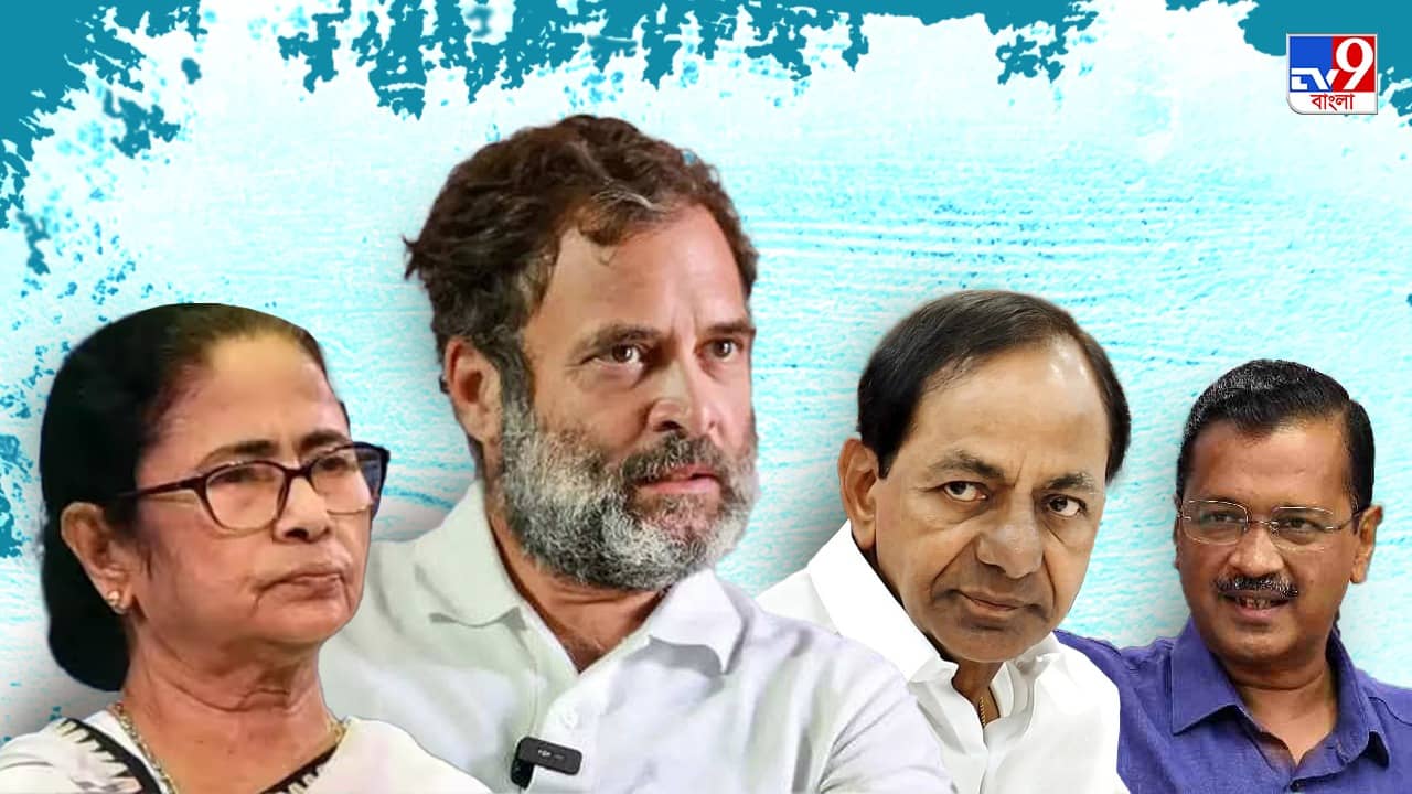 Opposition Unity: রাহুল ইস্যুতে ফের এক ছাতার তলায় আসবে বিরোধীরা? একসঙ্গে কাজ করার বার্তা রাহুলের