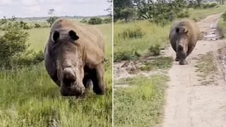 Viral Video: সিনেমা নয়, রাস্তায় হঠাৎ করে উড়ে গেল চলন্ত গাড়ি… কারণ জানতে দেখুন ভিডিয়ো