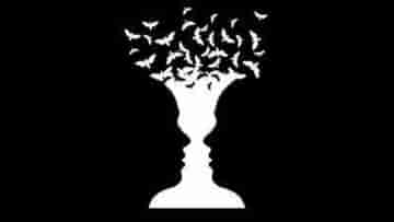 Rubin Vase Optical Illusion: শুধুই কি ফুলদানি নজরে এল? এই ছবি কিন্তু আপনার মন পড়তে জানে