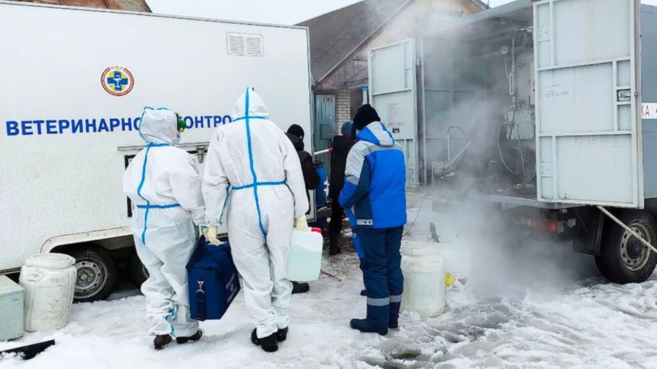 Anthrax Russia: আধ টন ষাঁড়ের মাংস কারা কারা কিনল? লকডাউন জারি করে চলছে খোঁজ