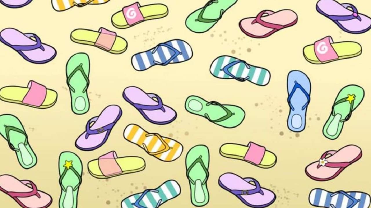 Brain Teaser: এত হাওয়াই চটির মধ্যে একটির জোড়া নেই, সেই এক পাটি স্লিপারটি খুঁজে বের করতে পারবেন?