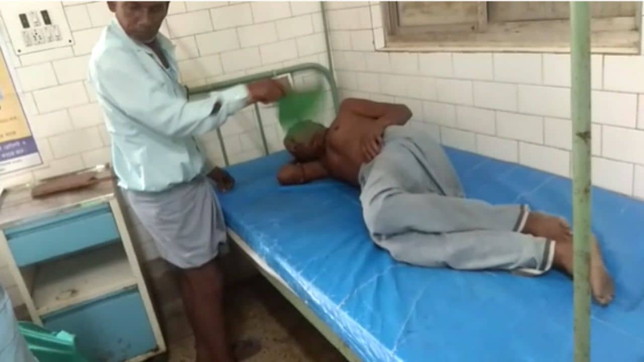 Basirhat Snake Bite: প্রশিক্ষণ ছাড়াই সাপের লেজ ধরে কায়দা করতে গিয়েছিলেন, প্রৌঢ়ের পরিণতি ভয় ছড়িয়েছে গ্রামে