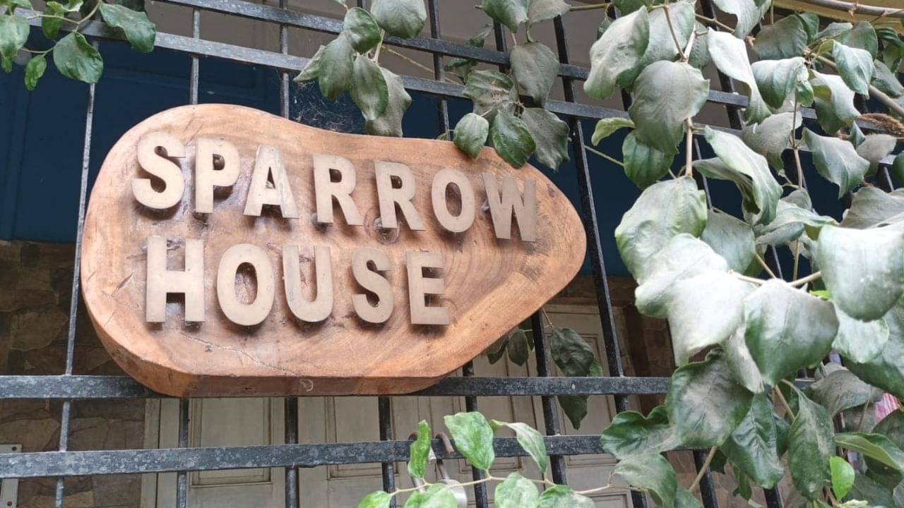 Sparrow House: পিয়ালী-কুন্তলের স্প্যারো হাউসে মহানন্দে বাস করছে চড়ুই, শালিক, ফিঙের দল