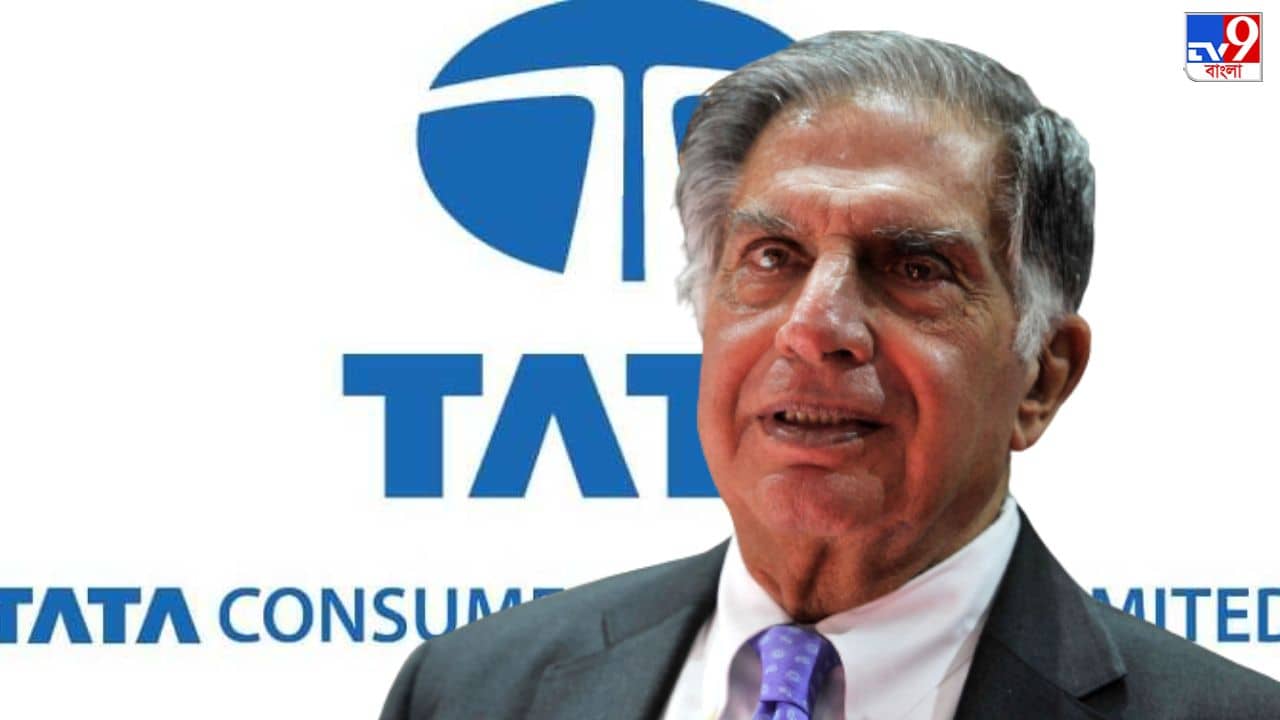 TATA: জনপ্রিয় বহুজাতিক সংস্থা কেনার পরিকল্পনা বাতিলর টাটার