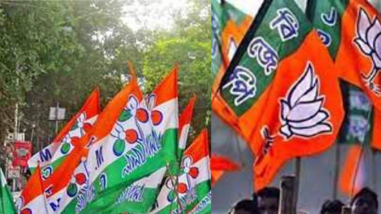 Hooghly TMC BJP: এমন মার মারব না, বিজেপি করা ভুলে যাবে, মঞ্চ থেকে হুমকি দিয়ে বিতর্কে তৃণমূল নেতা