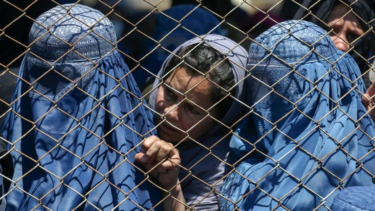 Taliban: চুল টেনে ছিঁড়ে নেওয়া, দাঁত উপড়ে ফেলা দানবদের কাছেই ওদের ফিরতে হচ্ছে আবার