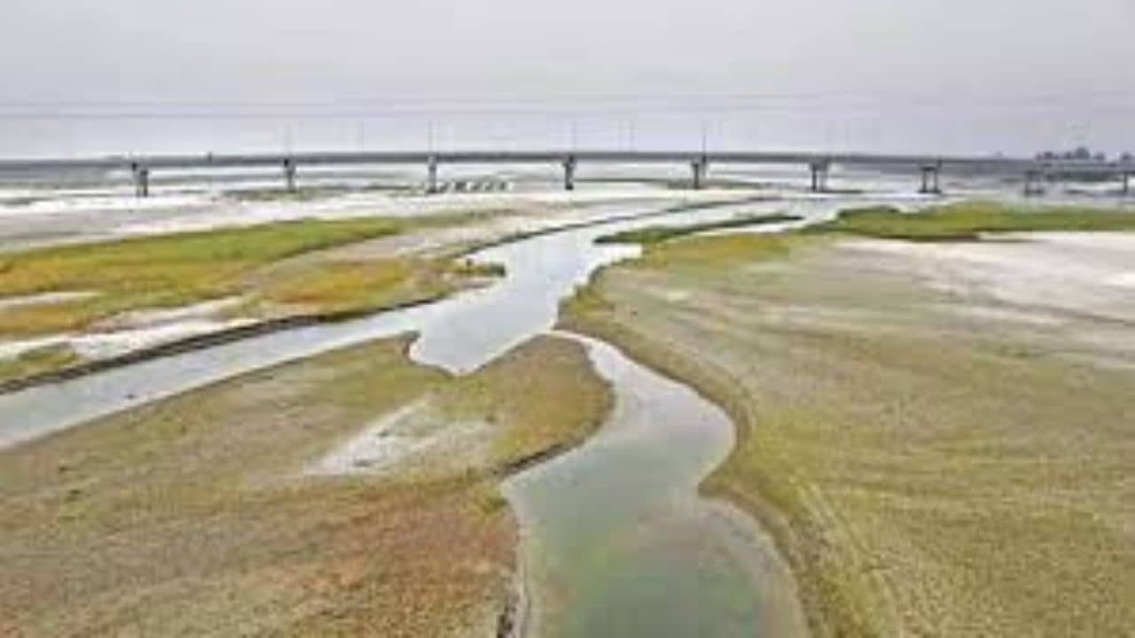 Bangladesh News: তিস্তার জল আটকে কেন খাল খনন, জানতে চেয়ে ভারতকে চিঠি বাংলাদেশের