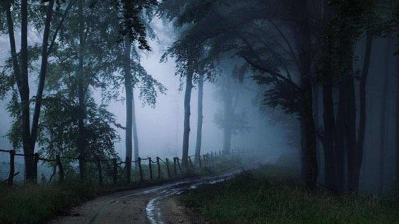 Haunted Place in Darjeeling: ঘন কুয়াশায় পাইন বনে দাঁড়িয়ে অশরীরী! দার্জিলিঙের খুব কাছে এই ভূতুড়ে গ্রাম