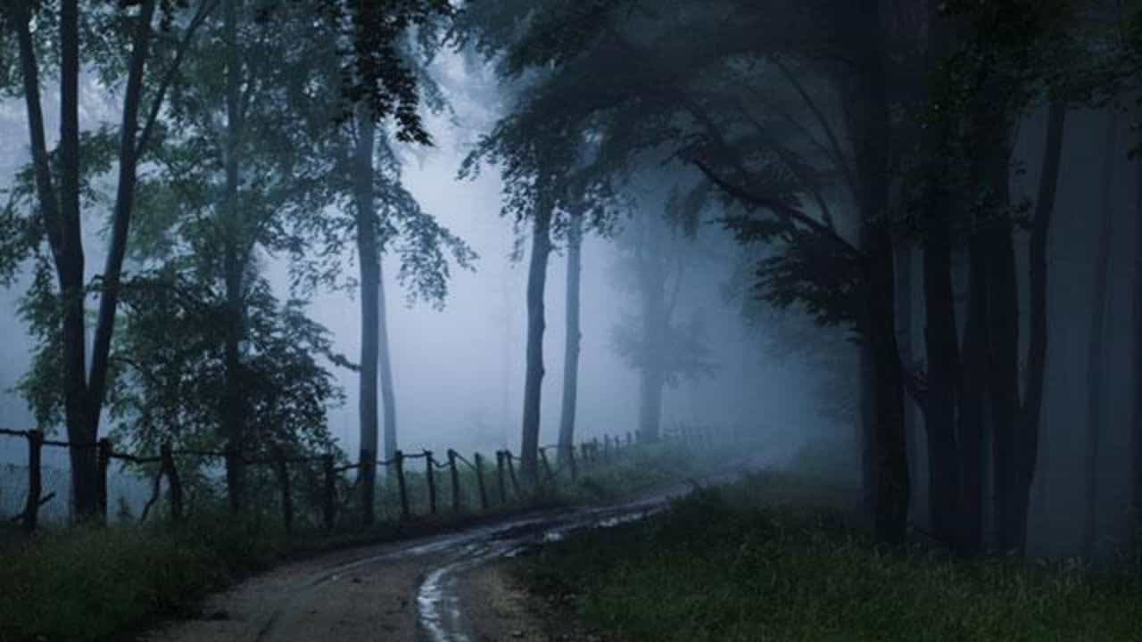 Haunted Place in Darjeeling: ঘন কুয়াশায় পাইন বনে দাঁড়িয়ে অশরীরী! দার্জিলিঙের খুব কাছে এই ভূতুড়ে গ্রাম