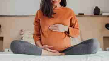 Vastu tips for Pregnant Womans Room: আপনি কি গর্ভবতী? সুস্থ সন্তানের জন্ম দিতে মেনে চলুন এই ৮ বাস্তু টিপস